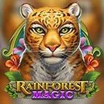 Rainforest Magic
